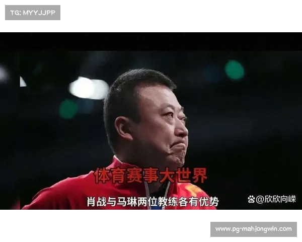 国乒新任主帅揭晓王励勤力荐名宿上位肖战马琳遗憾无缘帅位